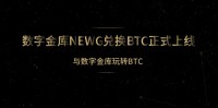 数字金库实现NEWG快速兑换BTC,数字黄金价值持续飙升!