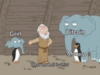 Grin上线后引发比特币开发者争论,公平即是最大创新?
