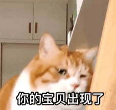 萌宠