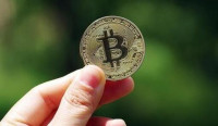 产量减半、机构入场,比特币新高后再探供求关系