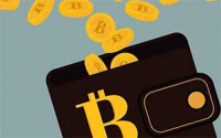 比特币冲击5万美元,数据告诉你牛市见顶了吗?