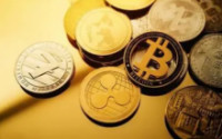 调查:加密货币投资领域存在严重的性别失衡