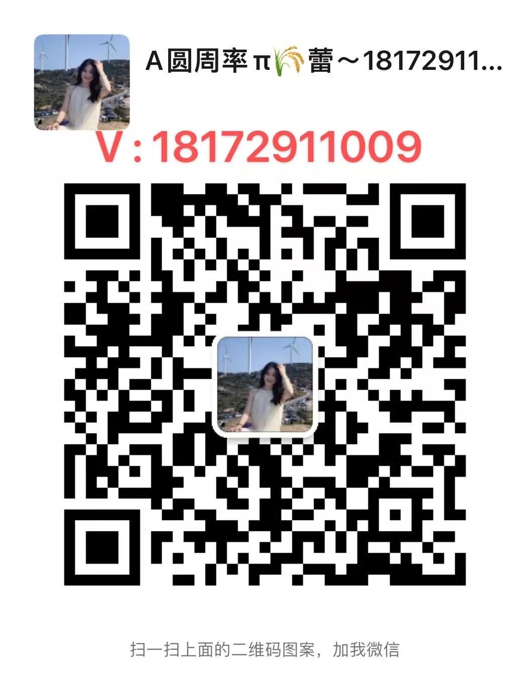 全新阿瓦隆1466-153T,德邦仓库现货