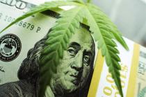 华盛顿参议员提交比特币禁止法案,要彻底消除比特币在该州大麻行业的存在